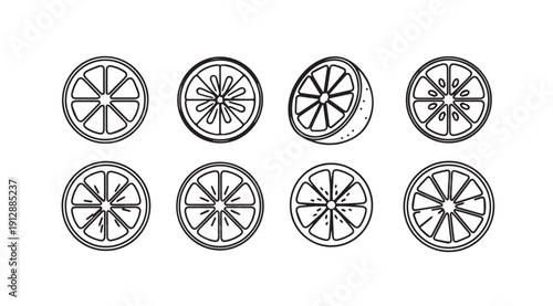 Citrus Slices Line Art Icons Collection - Orange, Lemon, Lime Halves