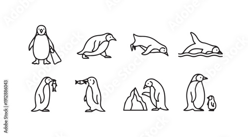 Collection of Penguin Icons and Illustrations in Outline Style