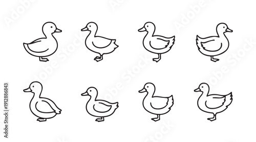 Cute Ducklings Collection Simple Outline Icons Isolated on White Background