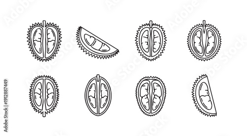 Durian Fruit Slices Icons Outline Vector Set Tropical Exotic Food