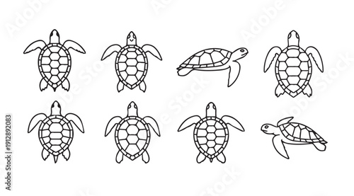 Sea Turtle Outline Collection: Multiple Poses and Angles, Minimalist Vector Icons