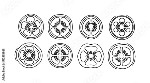 Tomato Slices Outline Various Shapes and Sizes on White Background, Stock Illustration