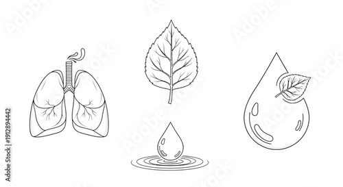 Human Lungs, Leaf, and Water Droplet Icons: Symbolizing Health, Nature, and Purity