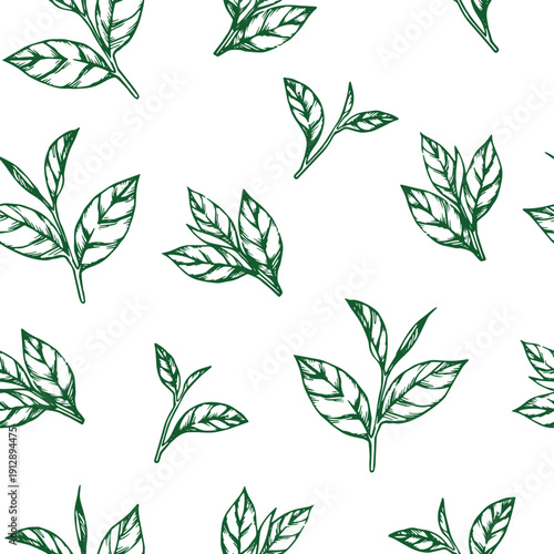 Green tea. Vector seamless pattern with green tea leaves. Sketch style illustration.