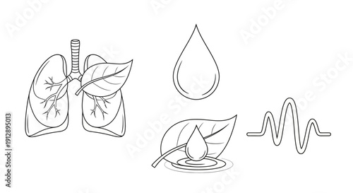 Healthy Lungs, Water Drop, Leaf, and Heartbeat Line: Symbolizing Health, Nature, and Life