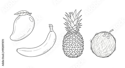 Hand-drawn sketch of tropical fruits: mango, banana, pineapple, and coconut