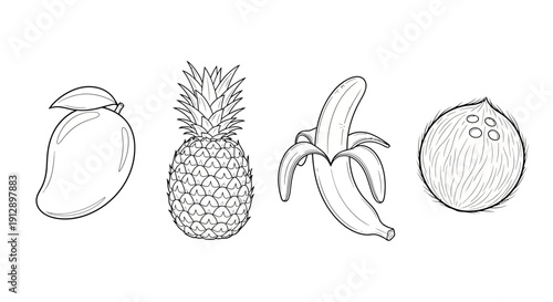 Hand-drawn tropical fruits: mango, pineapple, banana, and coconut, isolated on white background.