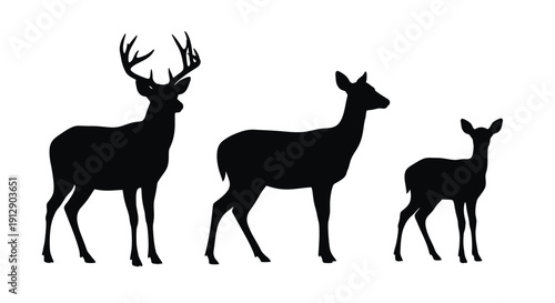Silhouette of a stag doe and fawn standing together