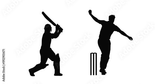 Silhouette of two cricket players a batsman hitting and a wicketkeeper