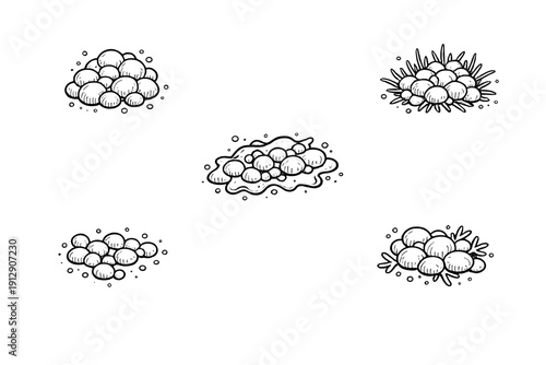A monochrome line art illustration featuring five separate groupings of spherical objects resembling eggs or spores. The clusters are set against a solid black backdrop with hand-drawn details.