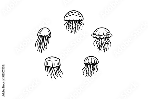 Five different jellyfish illustrations are arranged in a circular pattern on a solid black background. The line art drawings show various species with detailed tentacles and bells.