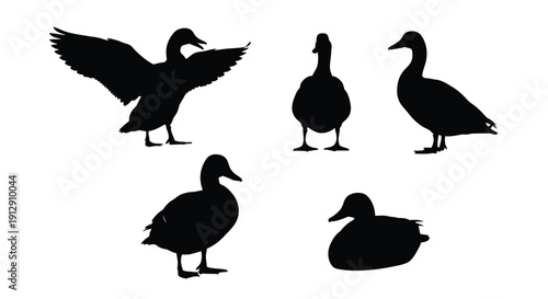 Collection of duck silhouettes showcasing various positions and behaviors in a simple graphic