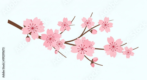 Pink cherry blossoms on a branch with brown stems and light blue background