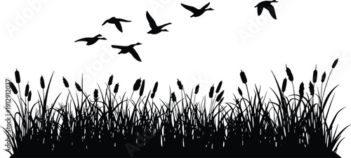 Black Silhouette of Wild Ducks Flying Over Marsh Grass and Reeds, Wetland Nature Landscape Vector Illustration Isolated on White Background,