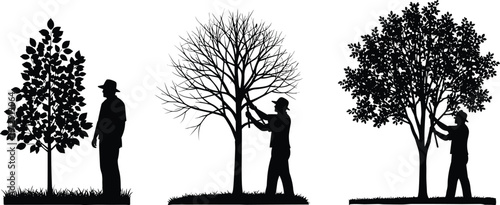 Set of Three Gardener Silhouettes Pruning and Caring for Trees in the Garden, Professional Landscaping and Seasonal Yard Maintenance Vector,