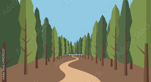 Serene forest path with trees and blue sky