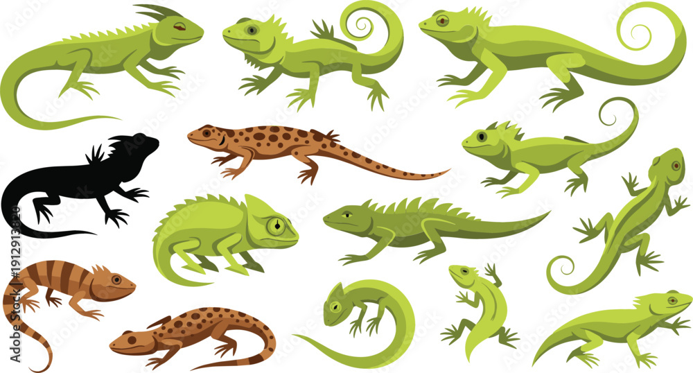 Obraz premium Lizard and Gecko Illustration Set with Different Reptile Species, Green and Brown Lizards, and Cartoon Style Wildlife Characters for Educational and Nature Design Projects