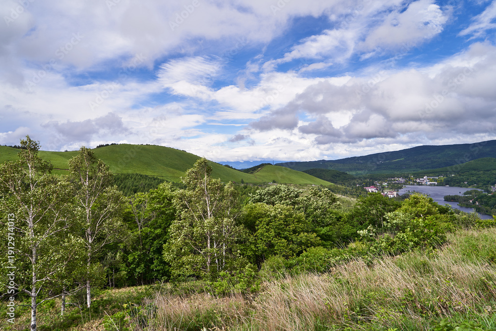 Obraz premium 長野県 白樺湖展望台からの白樺湖