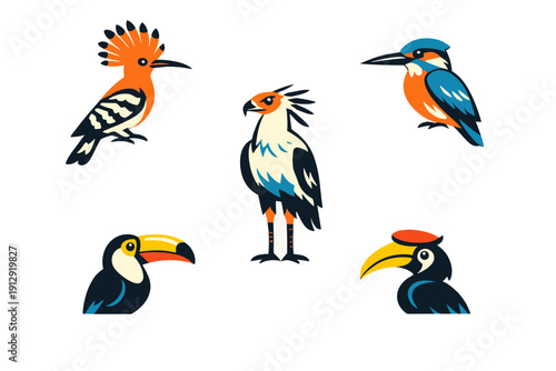 A collection of five stylized bird illustrations featuring a hoopoe, secretary bird, kingfisher, toucan, and hornbill set against a solid black background in a flat vector art style.