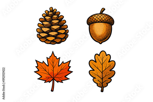 This set of four fall-inspired illustrations includes a detailed pinecone, an acorn, a red maple leaf, and a yellow oak leaf. The hand-drawn elements are isolated on a black background.