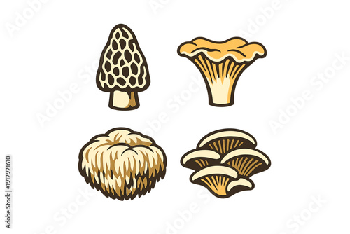 A collection of four stylized mushroom illustrations including morel, chanterelle, lions mane, and oyster varieties, presented in a graphic art style on a solid black background.