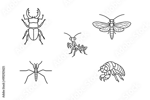 This set features five white line drawings of various insects such as a stag beetle, praying mantis, and dragonfly, all presented as minimalist icons on a plain black background.