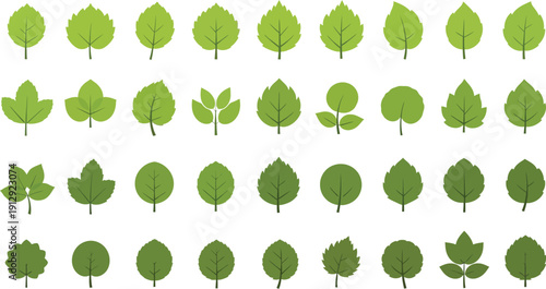 Collection of green leaf illustrations