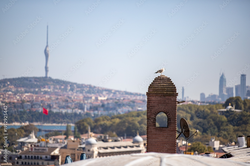 Obraz premium View of Istanbul from Suleymaniye Mosque with a seagull sittng on a chimney and a huge television tower on the background