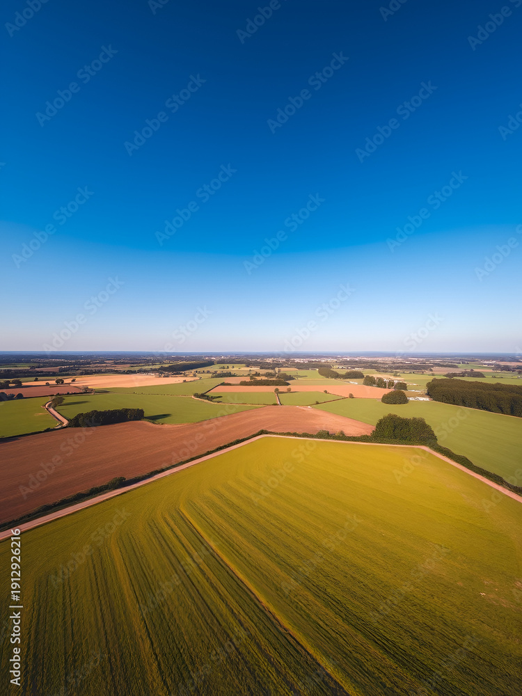 Fototapeta premium Aerial landscapes nature concept. A picturesque view of a vibrant green field under a clear blue sky.