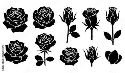 Black rose silhouette icon vector set isolated
