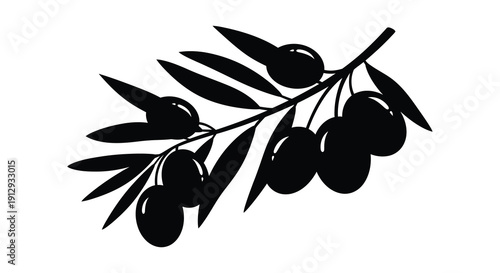Black olive branch with fruit depicted as a striking silhouette