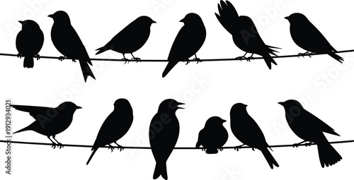 Birds on branch silhouette collection isolated on white background, perched bird vector set for nature design, wildlife illustration, decorative icon bundle