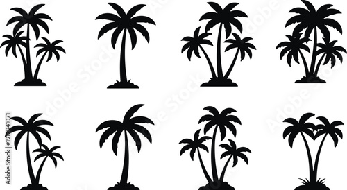 Black palm tree silhouettes set isolated on white background, tropical coconut tree vector icons, summer beach vacation and exotic nature elements
