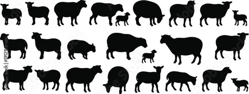 Sheep silhouette collection isolated on white background, farm animal livestock vector set for agriculture design, rural illustration, lamb and ewe graphic bundle