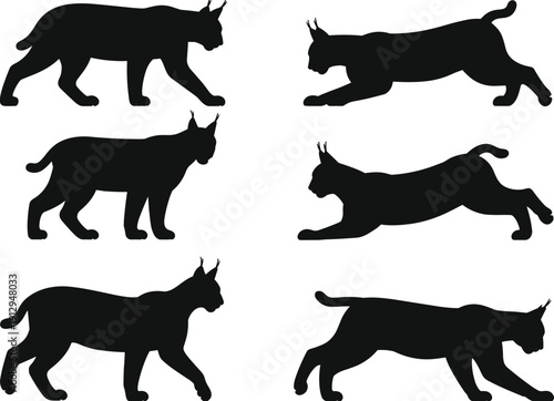 Lynx wild cat silhouette poses collection, stalking and running feline movements, black predator wildlife illustration set, isolated vector