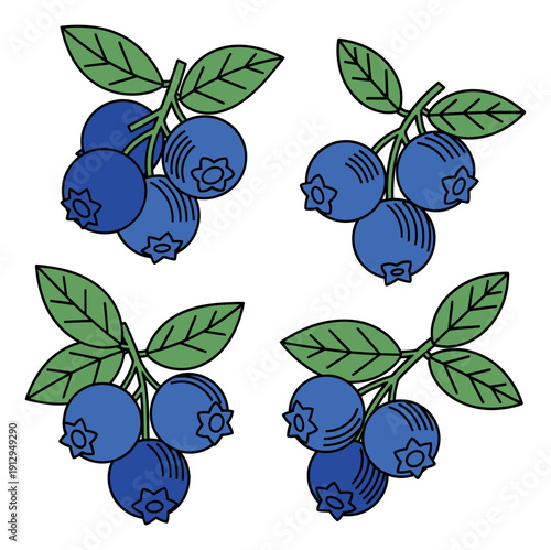 Colorful line art blueberry set featuring clusters of fresh fruit and green leaves for food and healthy lifestyle designs