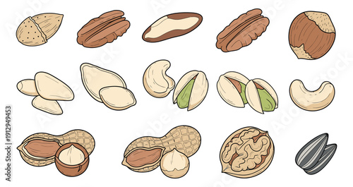 Hand drawn line art nuts and seeds set featuring various common edible nuts and seeds for healthy food concepts