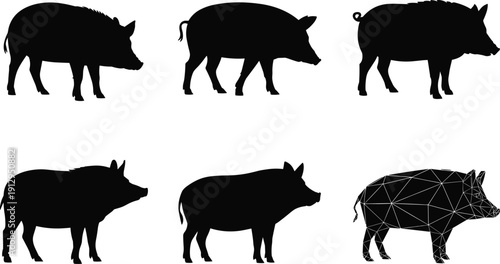 Wild boar and pig silhouettes collection, black farm animal poses, wildlife mammal illustration set, isolated vector design