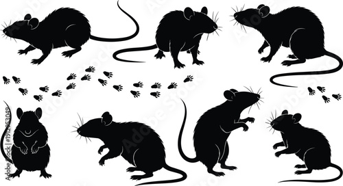 Rat silhouette collection, mouse poses with footprints, rodent animal illustration set, black pest silhouettes isolated vector