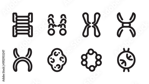 Chromosome Icons Set: Genetics, Biology, Cell Division, DNA Symbols