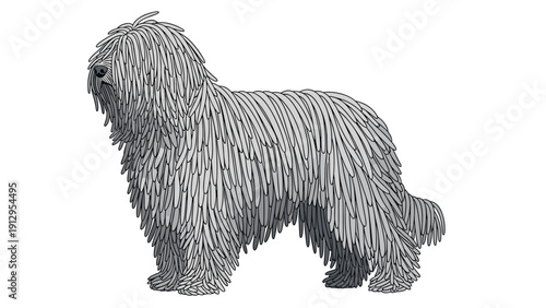 Unique Puli dog breed standing in profile with its characteristic long, corded, mop-like grey hair against a white background.