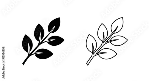 Two different types of leaves illustration in black and white Vector