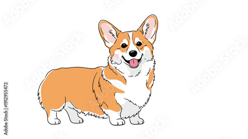 Cute illustration of a Pembroke Welsh Corgi dog standing and smiling with its tongue out on a clean white background.