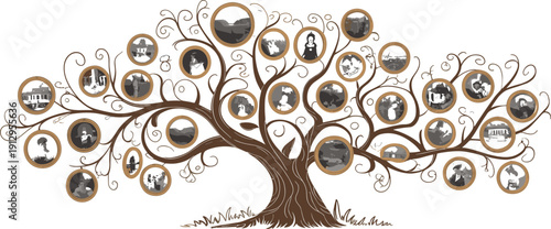 Stylized family tree illustration, genealogy heritage design, decorative swirls, circular photo frames, ancestry generations, artistic symmetrical nature, isolated white background