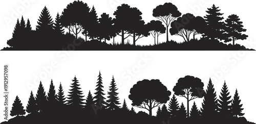 Forest tree silhouettes landscape, woodland nature scene, pine and deciduous trees, natural horizon illustration, black vector design