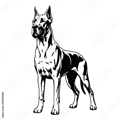 A sleek black and tan dog standing confidently in a minimalist line drawing style