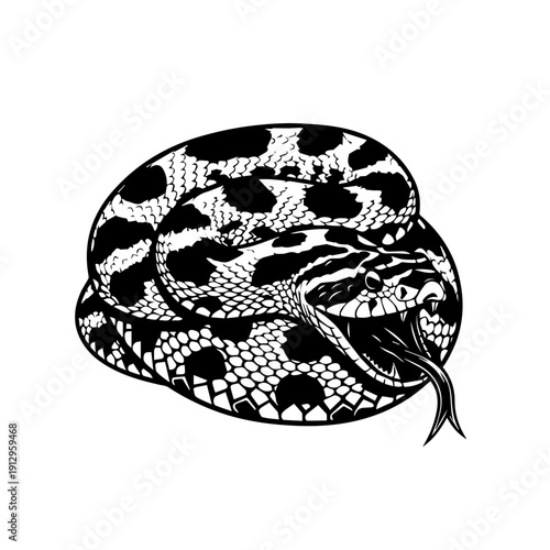 Black and white leopard print bowler hat with a small bow on the side