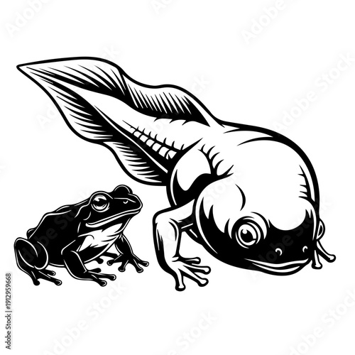 Whimsical illustration of an axolotl and a frog in a surreal encounter