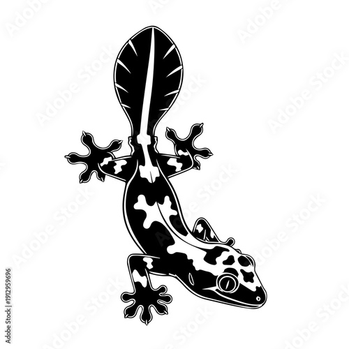 Black and white illustration of a stylized gecko with intricate patterns and detailed features