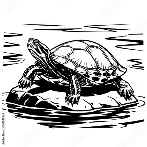 A classic black and white illustration of a turtle peacefully swimming in water